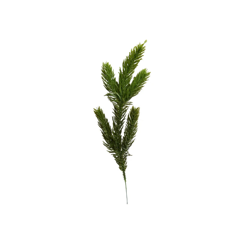 Gran gren - 25cm