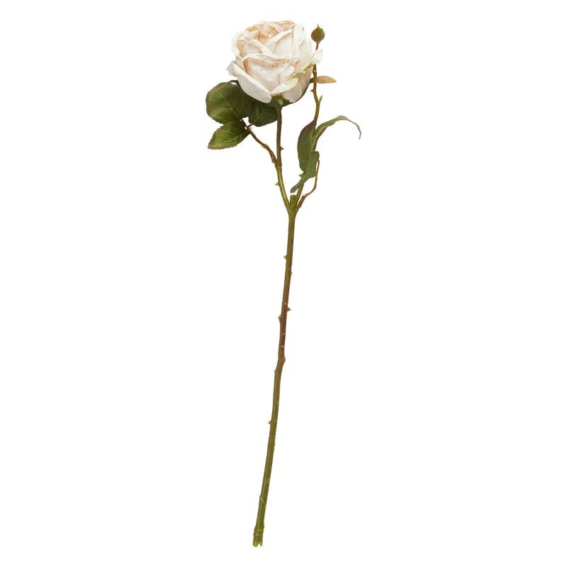 Blomst - Rose stilk H44cm - beige - Nordic Home Living