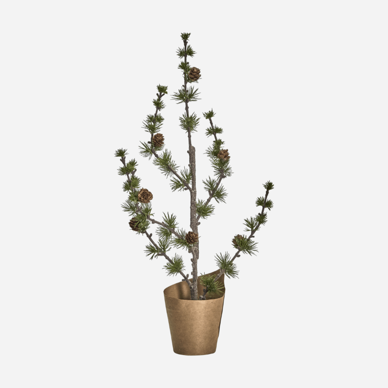 cedertræ - 50 cm - Nordic Home Living