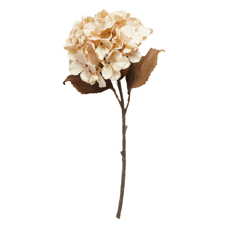 Blomst - Hortensia stilk H48cm - beige