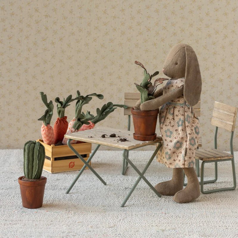 Krukke med kaktus - Nordic Home Living