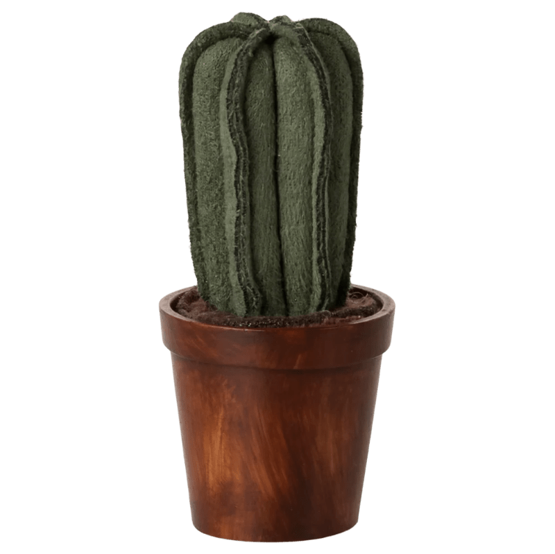 Krukke med kaktus - Nordic Home Living