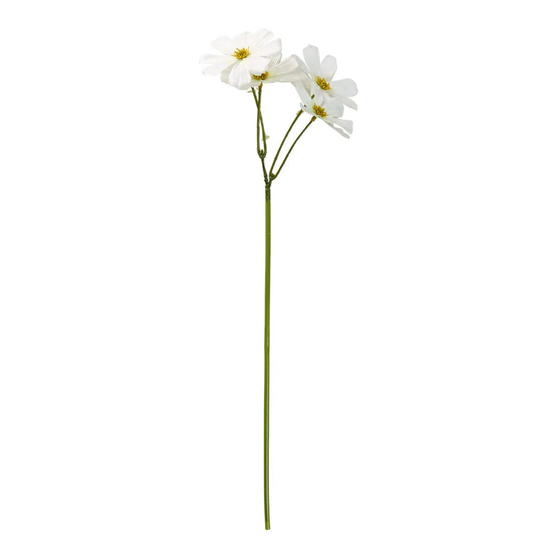 Blomst - Stolt kavaler 45 cm stilk - hvid
