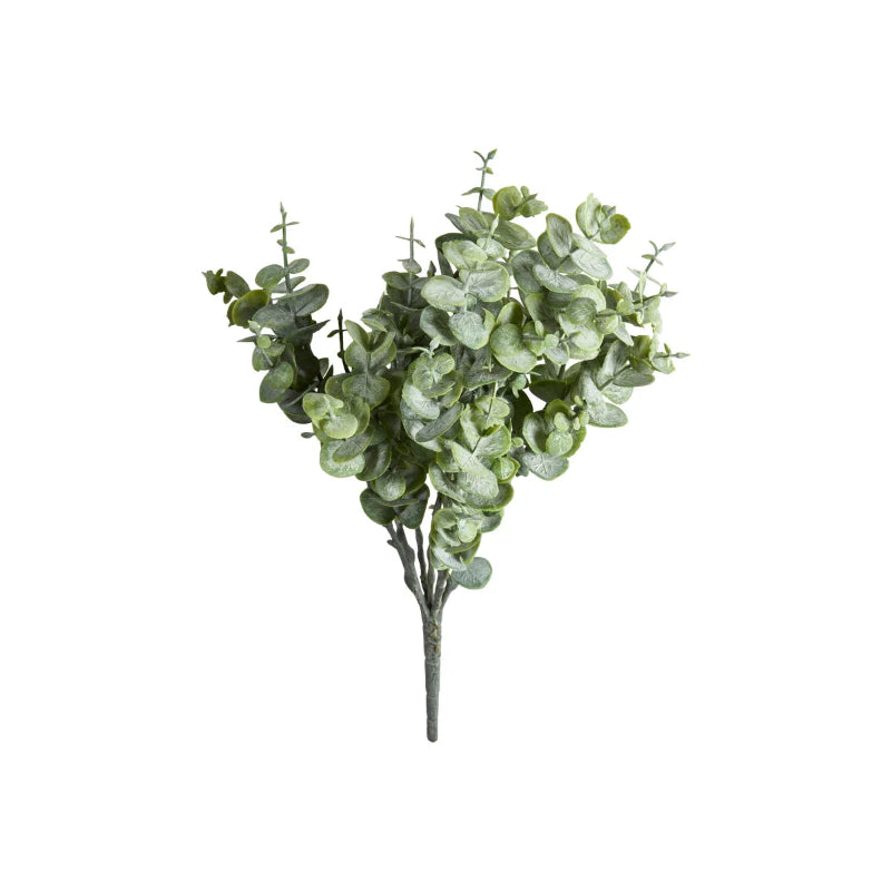 Eukalyptus stilk 28cm - grren