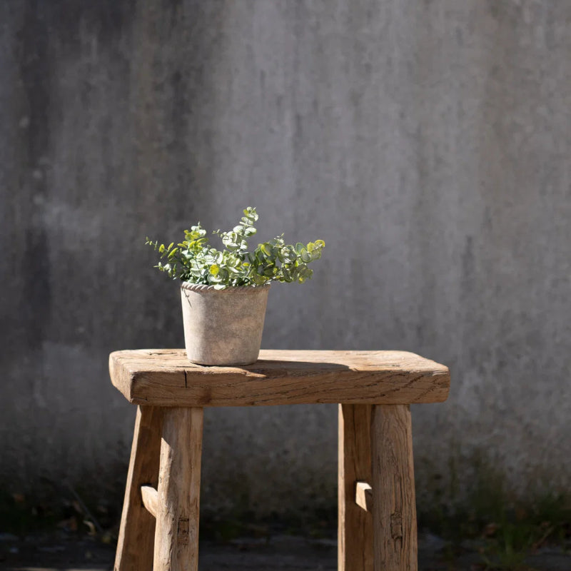 Eukalyptus stilk 28cm - grren