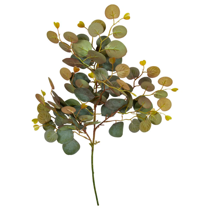 Eukalyptus stilk 69cm - Green/brown