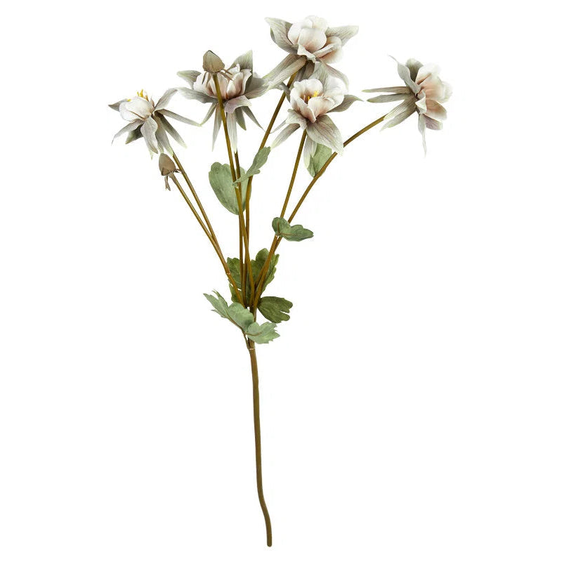 Blomst - Akeleje stilk 70cm - Dusty green/Rose