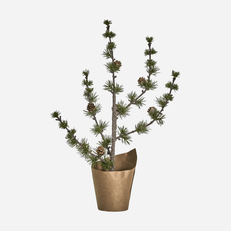 cedertræ - 40 cm - Nordic Home Living