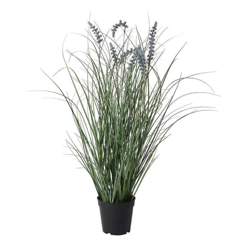 Lavendel - H 70cm. - Nordic Home Living