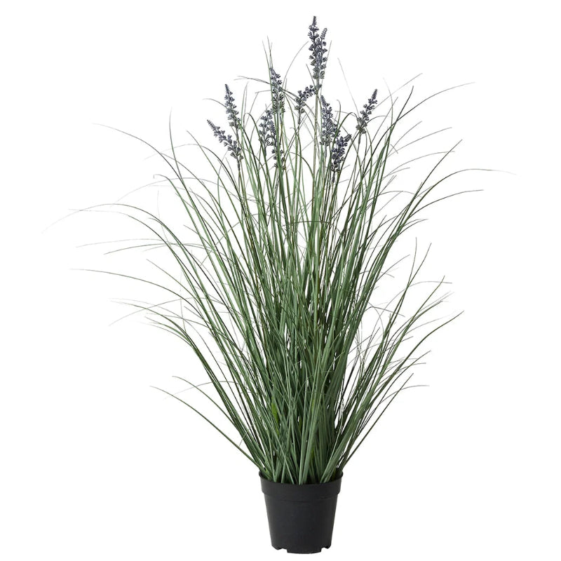 Lavendel - H 90cm.