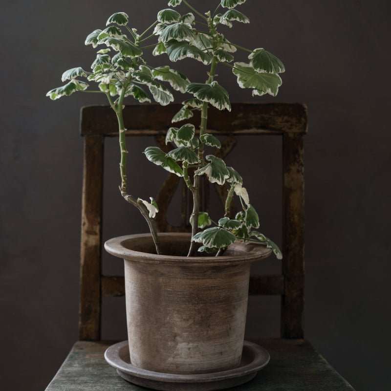 Terrakottakrukke ed underskål - Ø18 H14 - Nordic Home Living