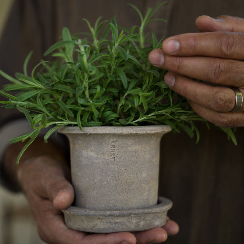 Terrakottakukke med underkop – ø12, h10 cm - Nordic Home Living